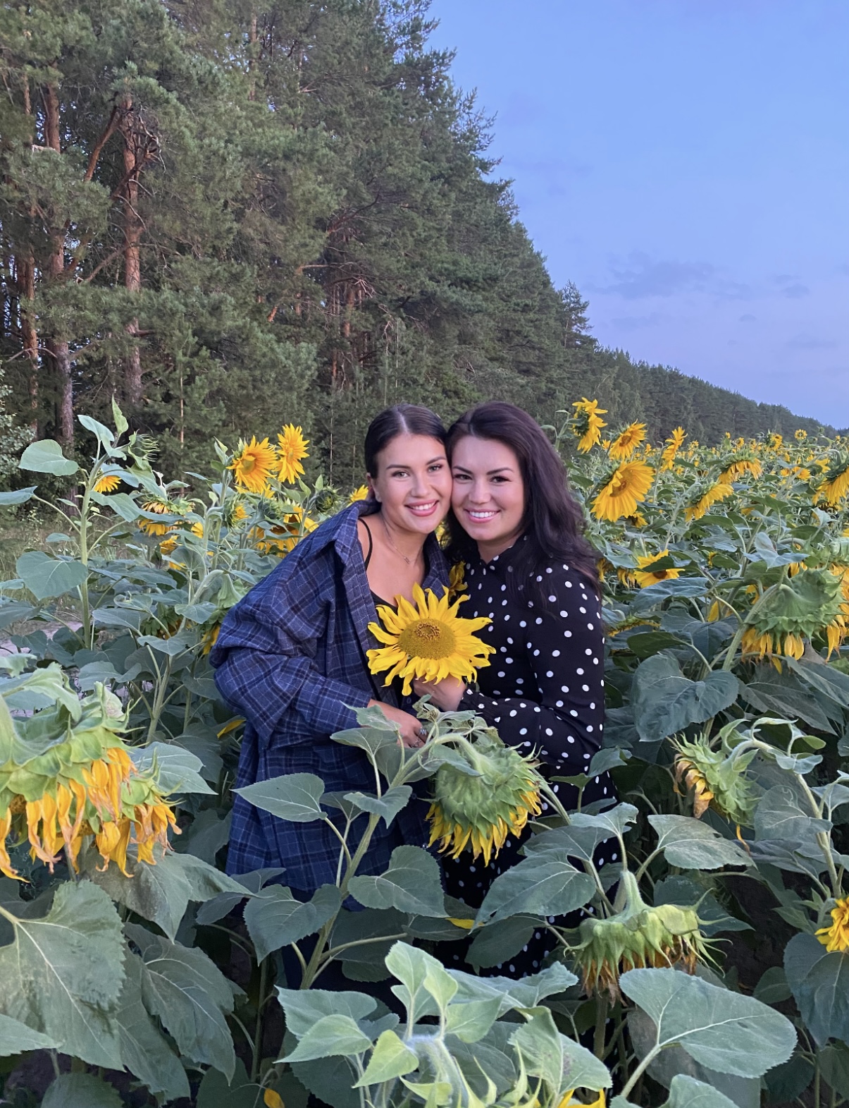 Кызы Эльвина белән