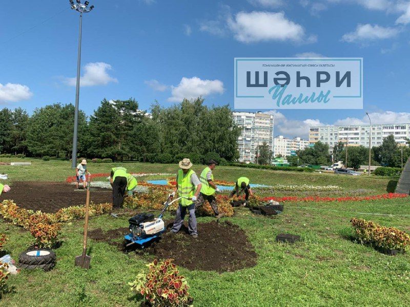 Чаллының “Азатлык” мәйданында 10 мең төп чәчәктән торган яңа композиция урын алачак