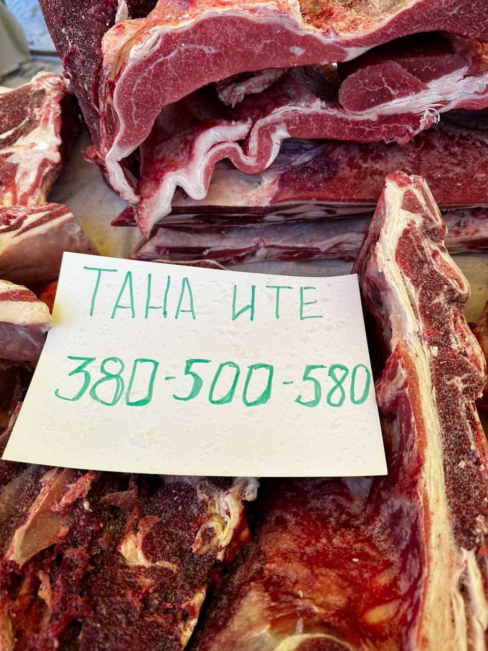 Чаллы мэры авыл хуҗалыгы ярминкәсенә  барды