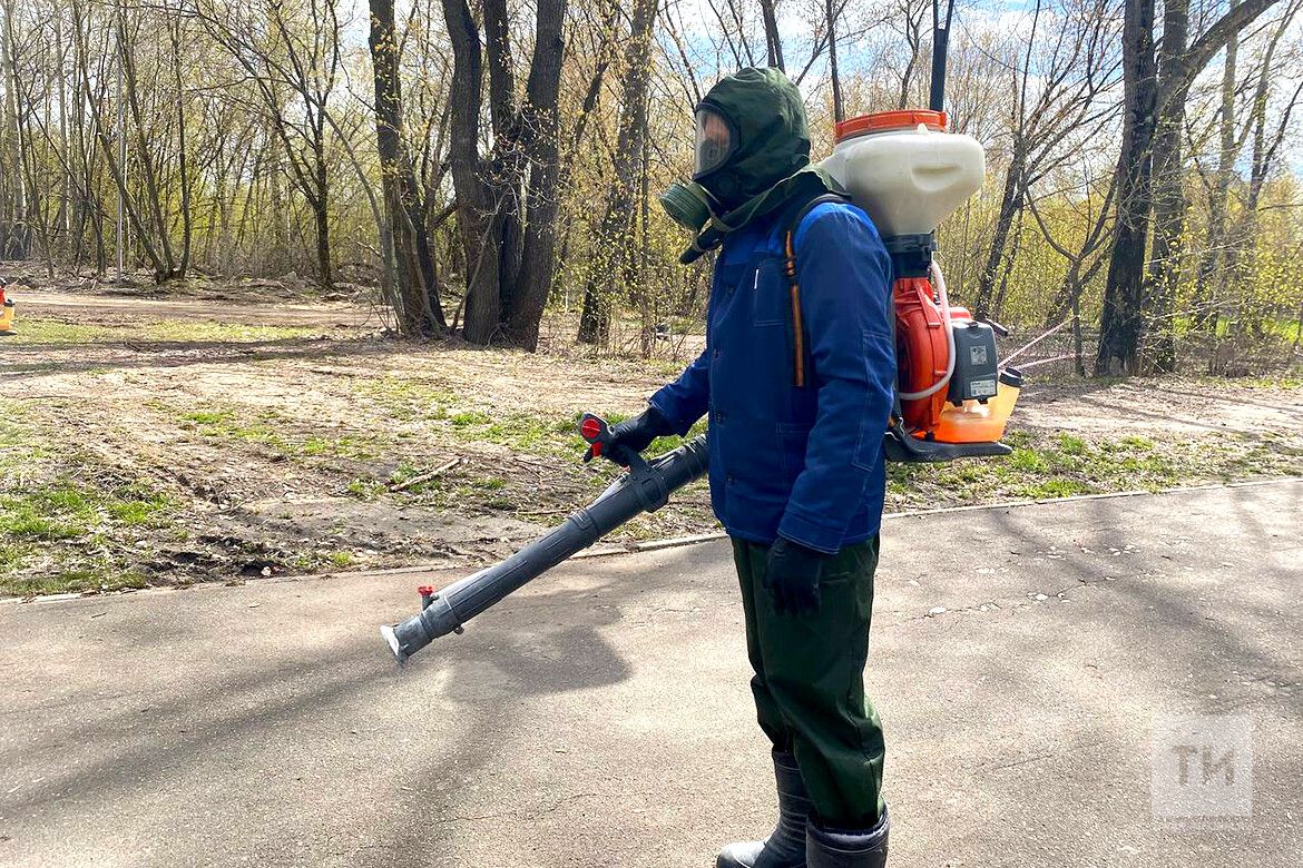 Чаллы зиратларына агу сиптерәчәкләр