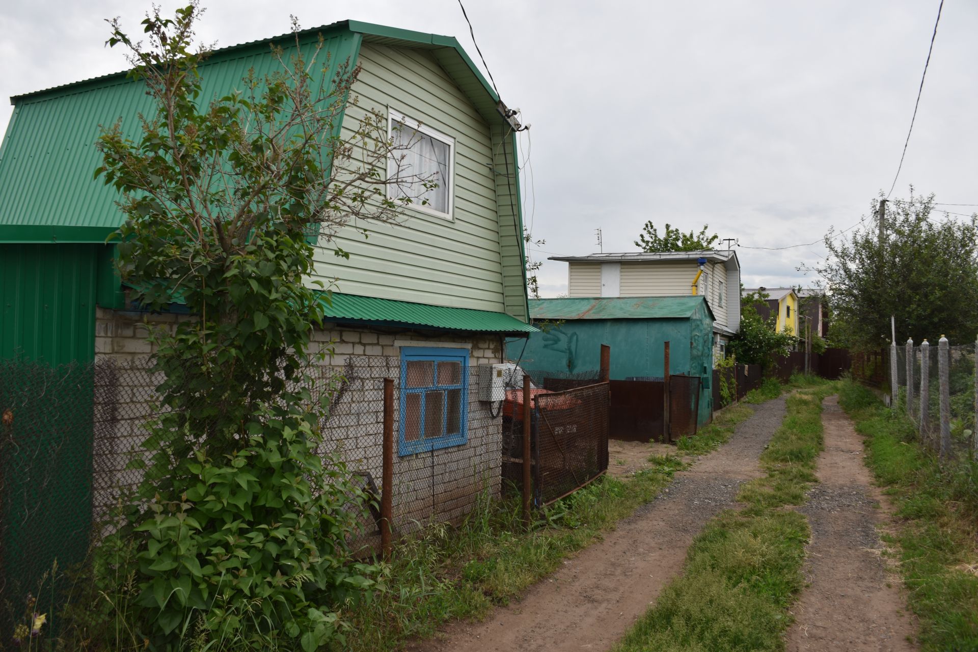 Бакчалар популярлаша шикелле