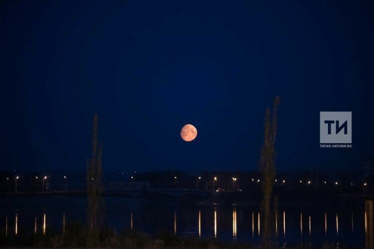 24 – 30 июльгә йолдызнамә. Үлчәүләр, ташлагыз моны! Ял итегез!