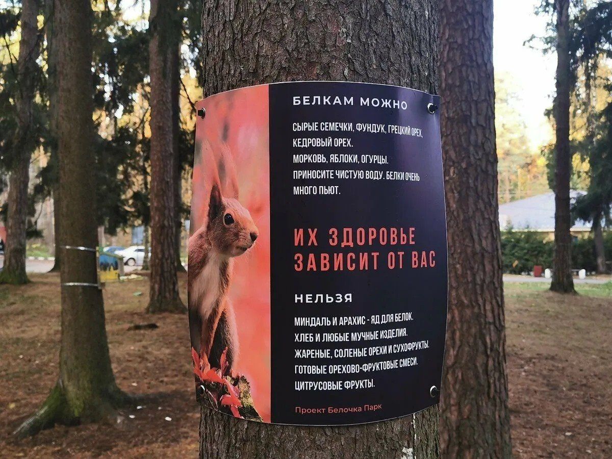 Чаллыда тиеннәргә чикләвек сорыйлар