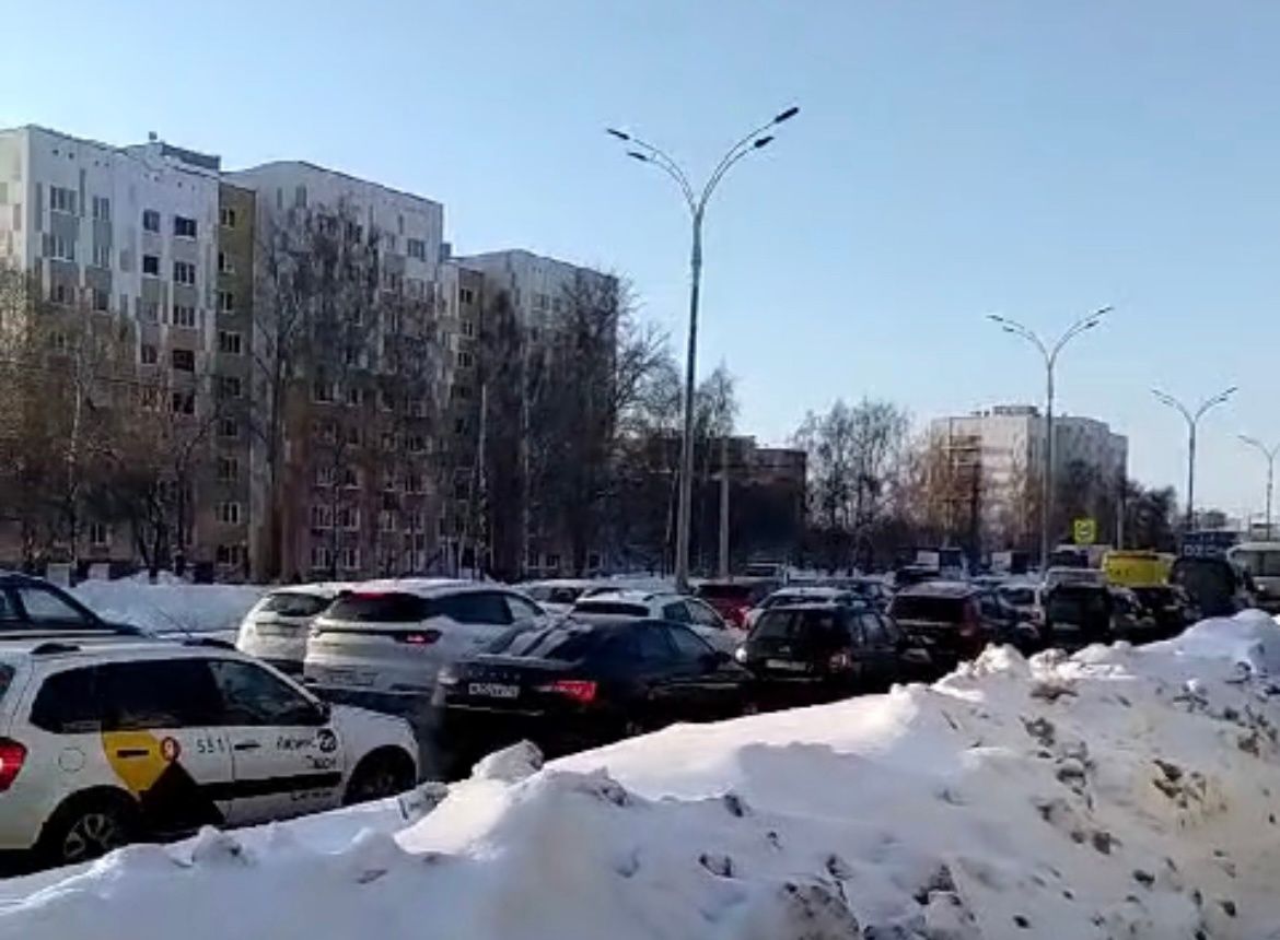 Чаллыдагы юл бөкесенең сәбәбе билгеле (видео)