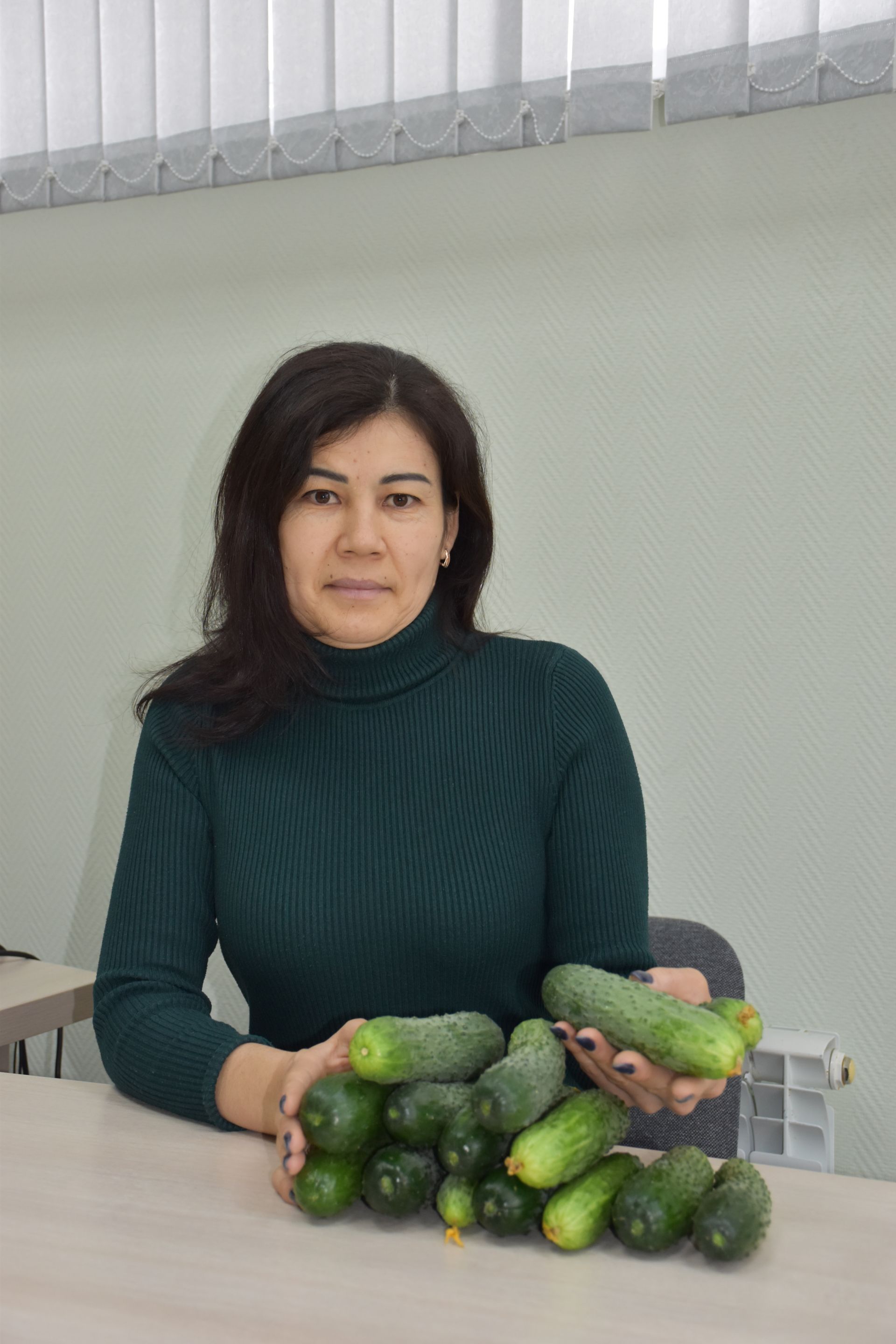 Тукай районы эшмәкәре: «Көненә 300 кг кыяр җыеп алган чак та бар»