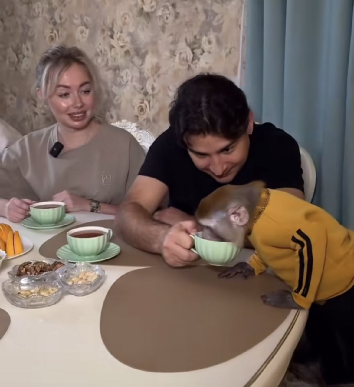 Данир Сабировның маймылы нәрсә ярата?