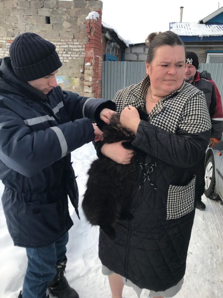 Чаллыда этләргә чипны килеп куялар