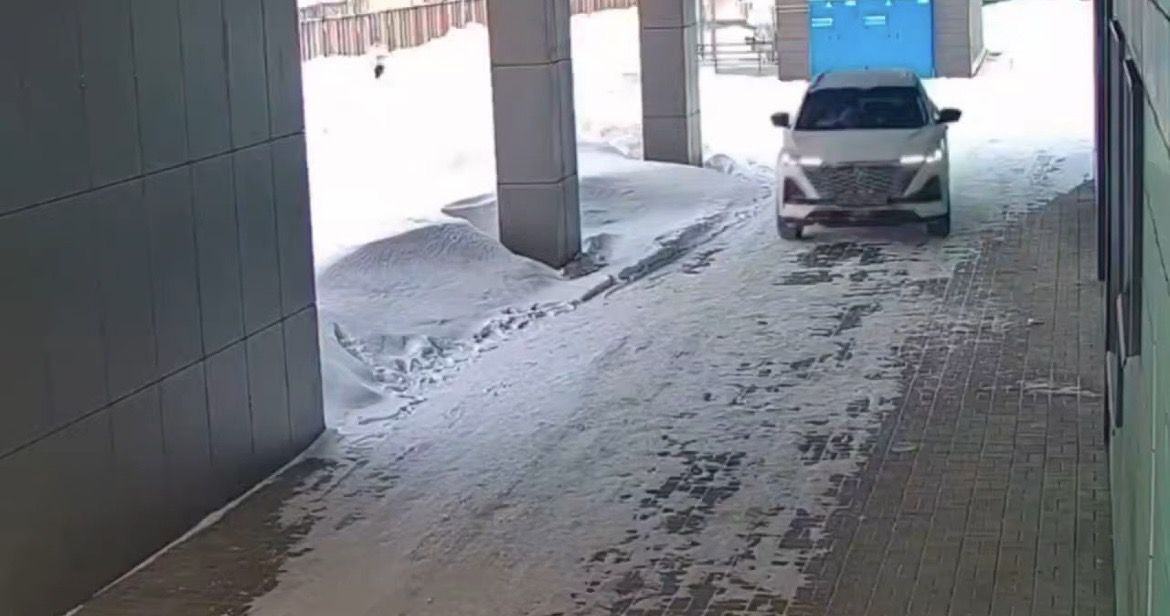 Автомобильдә баласын тудырды