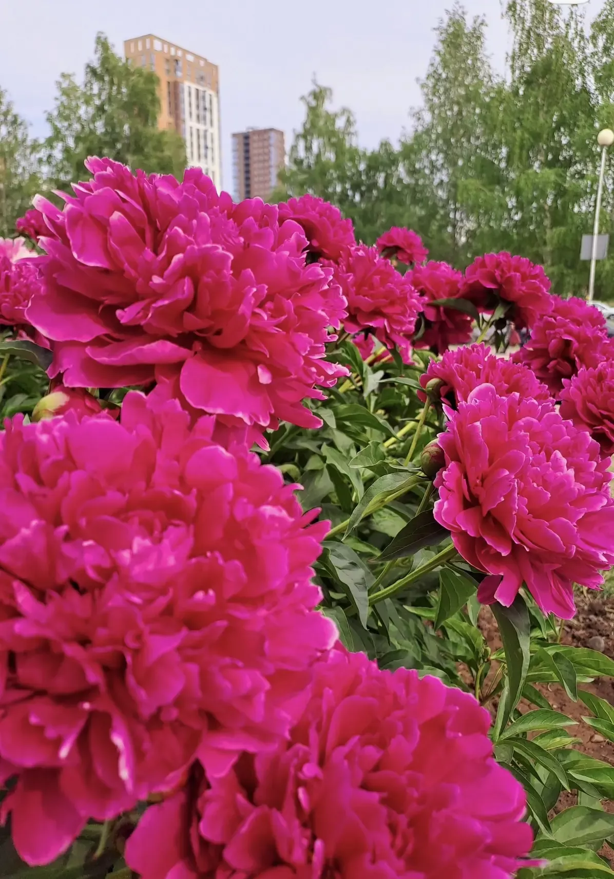 1 июньдә һава торышы нинди була?
