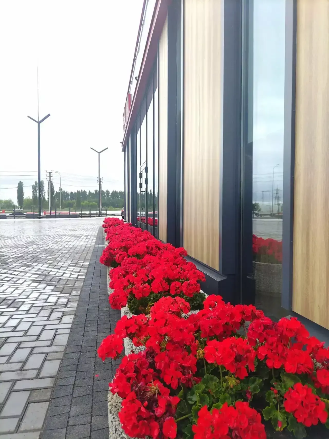 Бүген салкынча