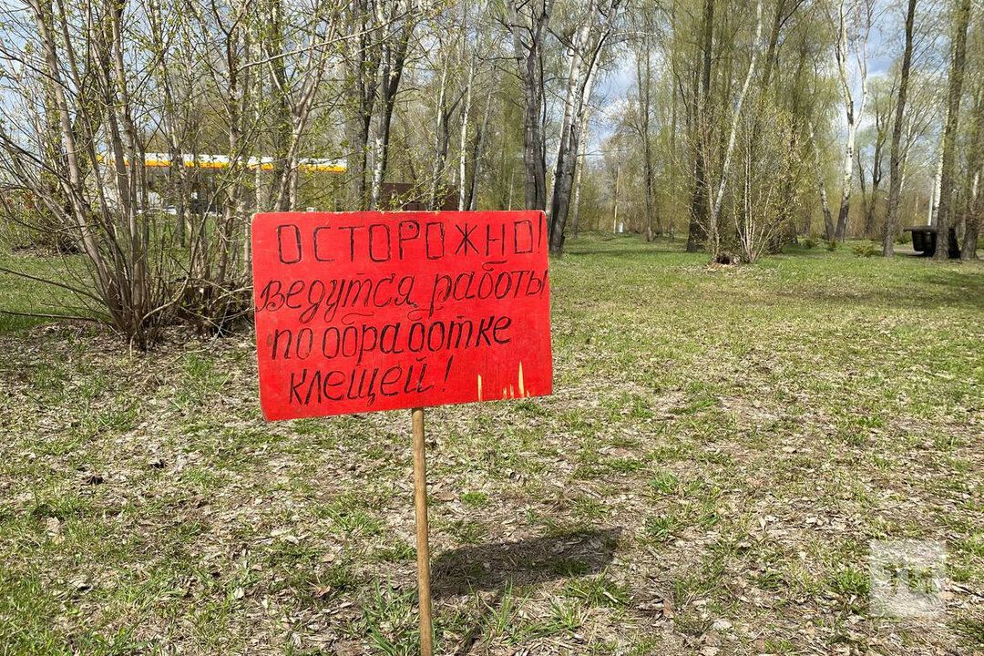 Чаллыда талпаннарга зарланучылар кимеми
