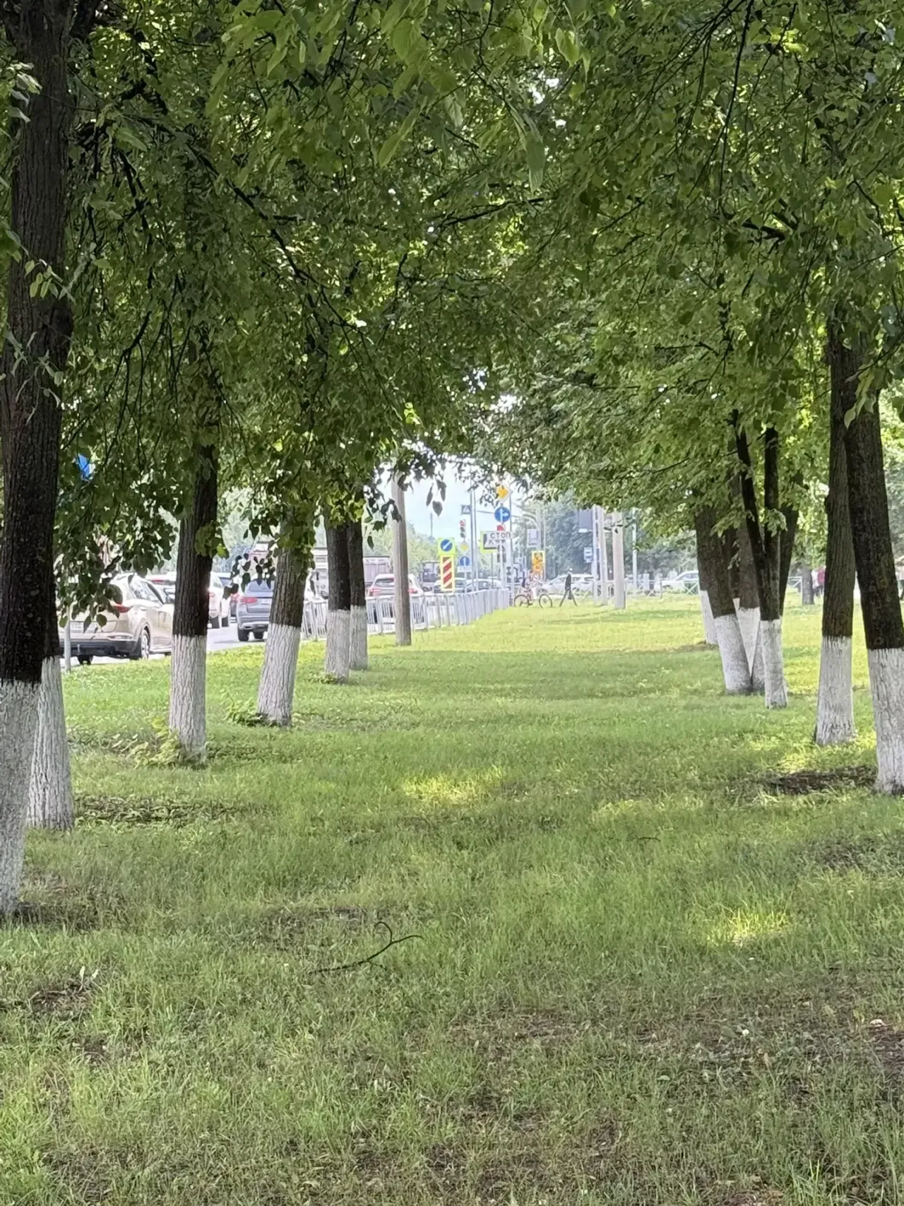 Бүген көн җылы булачак
