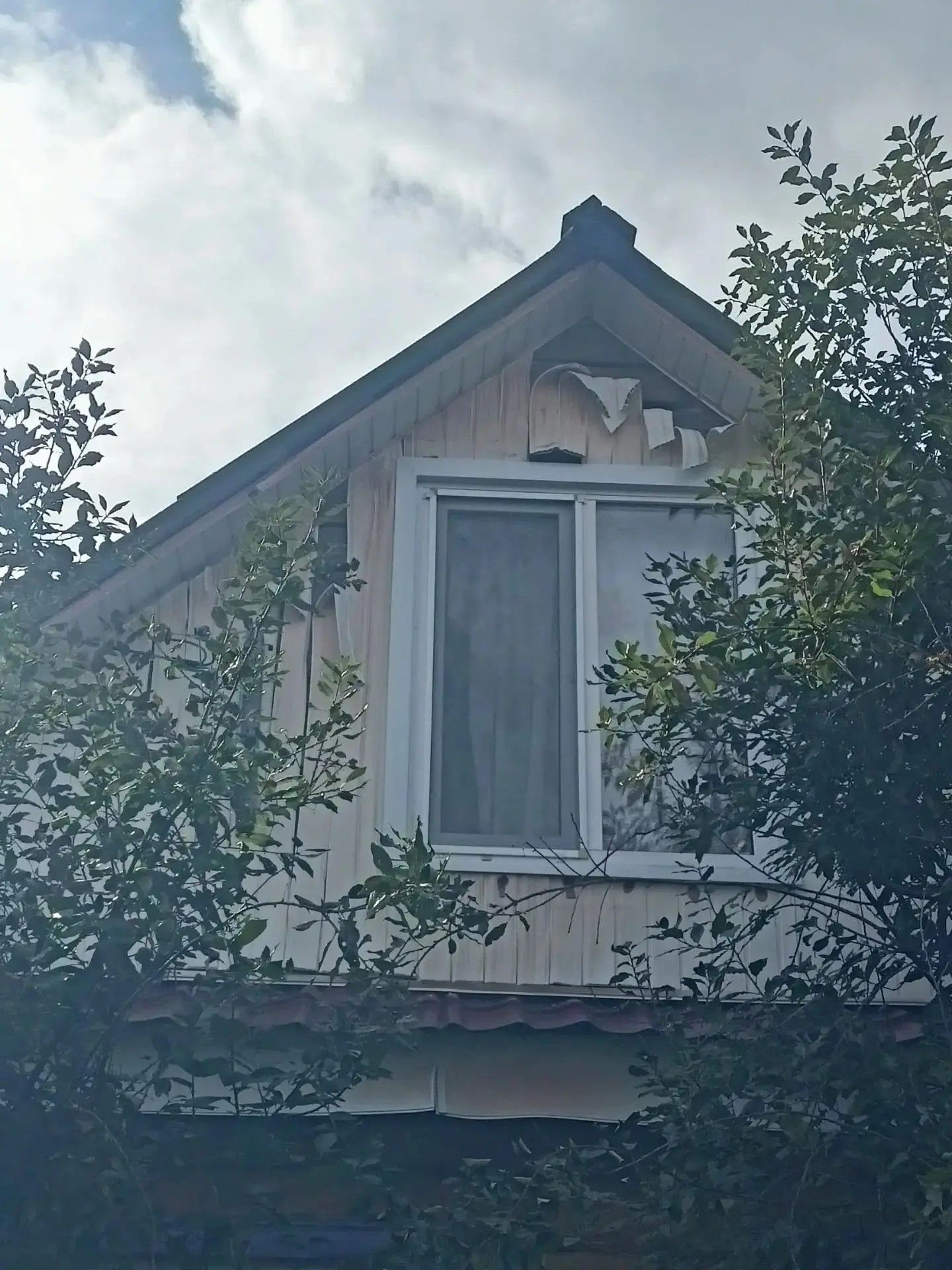 Янгын Чаллы янындагы  бакча йортларына зыян салган