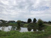 Әнине беренче мәхәббәте эзләп килгән