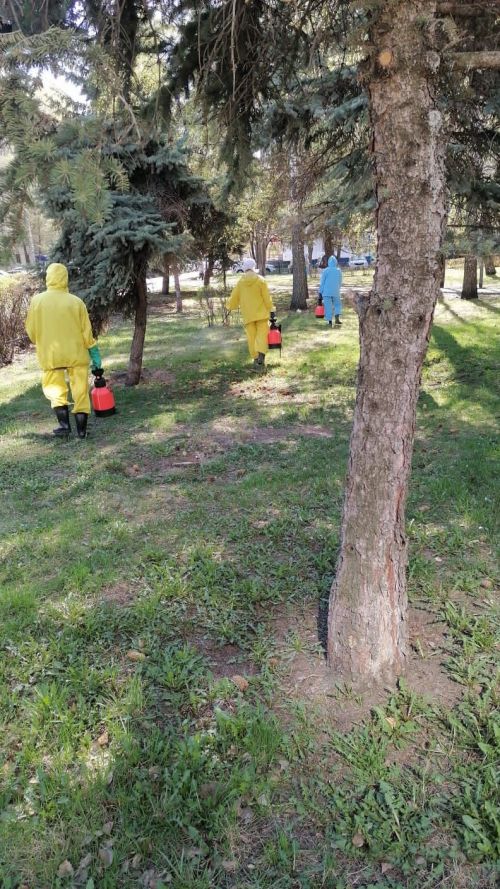 Игътибар: Чаллы паркларында сары, зәңгәр киемнән кешеләр йөри