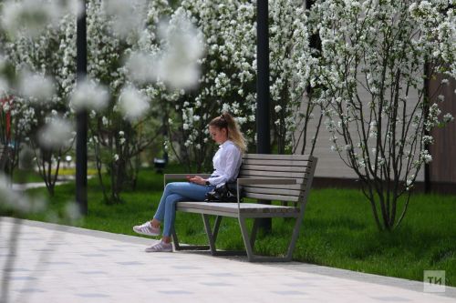 2024 елда Чаллыда кайсы парклар төзекләндереләчәк?