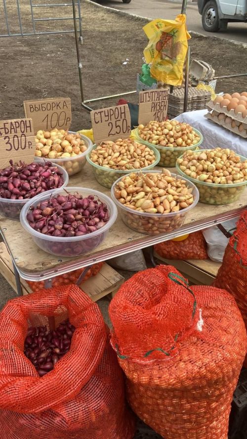 Ярминкәдә үз товарларын тәкъдим итүчеләр: «Бөтен продукциябезне сатып кайтып китәбез» - ФОТОЛАР