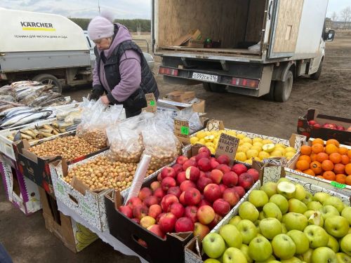 Ярминкәдә үз товарларын тәкъдим итүчеләр: «Бөтен продукциябезне сатып кайтып китәбез» - ФОТОЛАР
