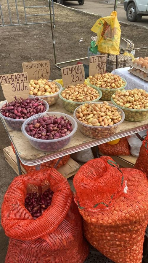 Ярминкәдә үз товарларын тәкъдим итүчеләр: «Бөтен продукциябезне сатып кайтып китәбез» - ФОТОЛАР