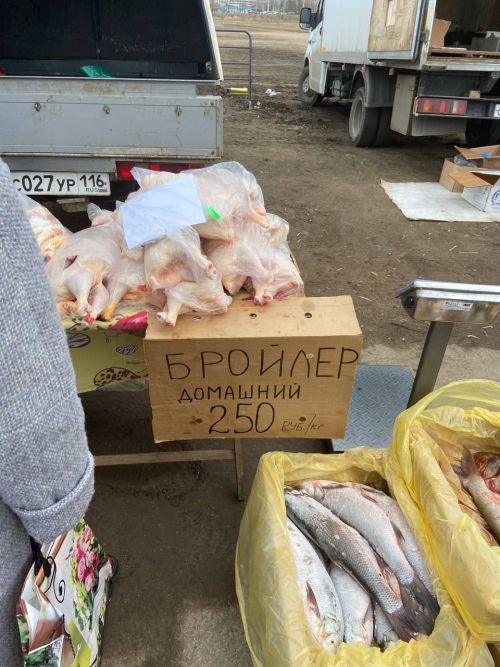 Ярминкәдә үз товарларын тәкъдим итүчеләр: «Бөтен продукциябезне сатып кайтып китәбез» - ФОТОЛАР