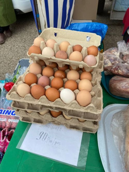 Ярминкәдә үз товарларын тәкъдим итүчеләр: «Бөтен продукциябезне сатып кайтып китәбез» - ФОТОЛАР