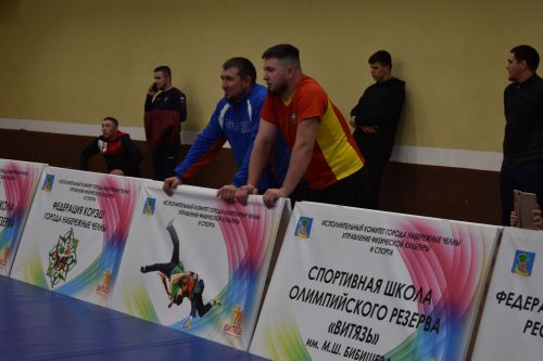 Хаҗ өчен татарча көрәш һәм кул көрәше буенча XIV Бөтенроссия турнирыннан ФОТОРЕПОРТАЖ