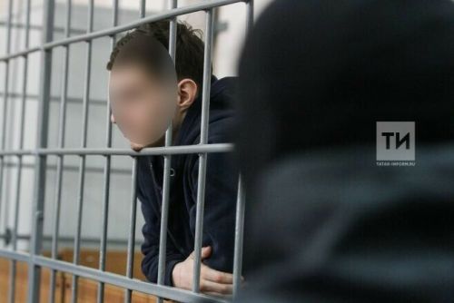 Аксубайдан Чаллыга килеп 81 яшьлек әбине талаган