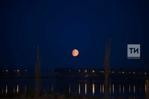 24 – 30 июльгә йолдызнамә. Үлчәүләр, ташлагыз моны! Ял итегез!