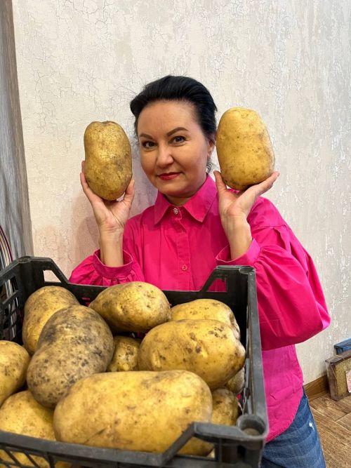 Салават Фәтхетдиновның элеккеге биючесе шаккатмалы бәрәңге үстергән