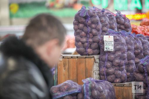 Юылган бәрәңге сатып алыргамы, балчыклысынмы?
