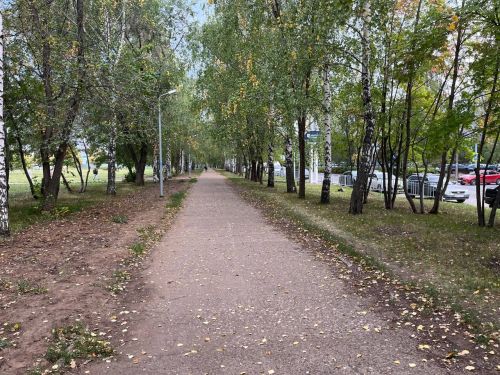 Г. Камал бульварында җәяүлеләр юлы ясаячаклар