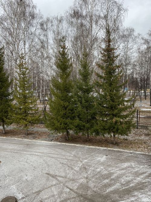 Өч көндә Татарстанда һава торышы нинди булыр?