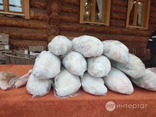 Ринас Әхмәтовт тәмле итеп каз пешерергә өйрәтә