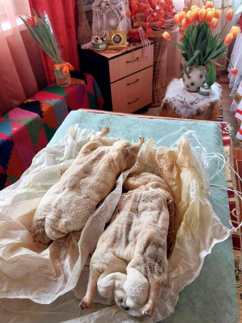 Рәссам Хәния Гәрәевадан каз һәм үрдәк каклау рецепты - ФОТОЛАР