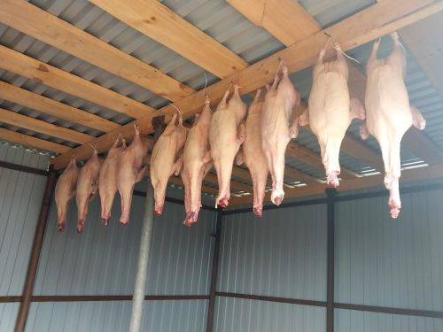 Рәссам Хәния Гәрәевадан каз һәм үрдәк каклау рецепты - ФОТОЛАР