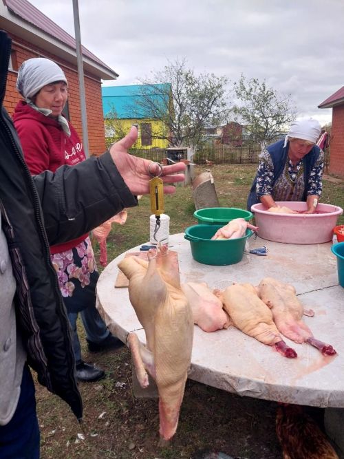 Рәссам Хәния Гәрәевадан каз һәм үрдәк каклау рецепты - ФОТОЛАР