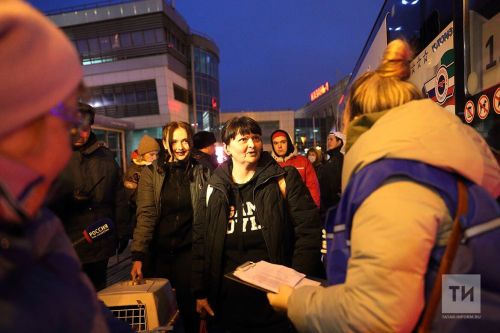 Чаллыга Палестинадан качаклар кайтарылырмы?