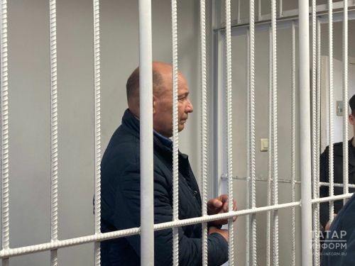 Фаил Камаевны СИЗОга җибәрделәр