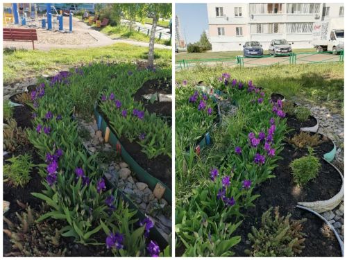 ТОС рәисе: «Безгә килгән һәр кунак хәйран кала»