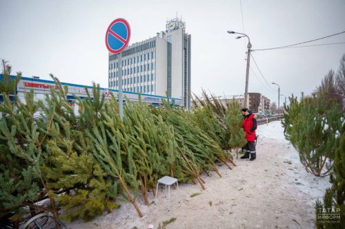 Татарстанда «Чыршы» акциясе башланды