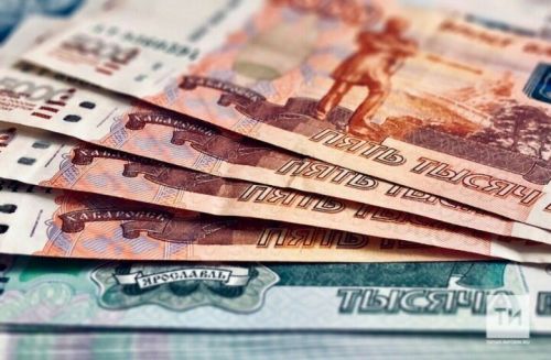 Татарстанда авылда яшәүче 1,5 меңнән артык хатын-кыз акча алды