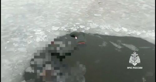Балыкчы батып үлгән
