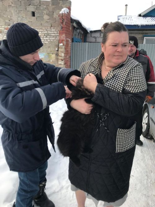 Чаллыда этләргә чипны килеп куялар