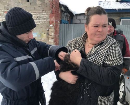 Чаллыда этләргә чипны килеп куялар