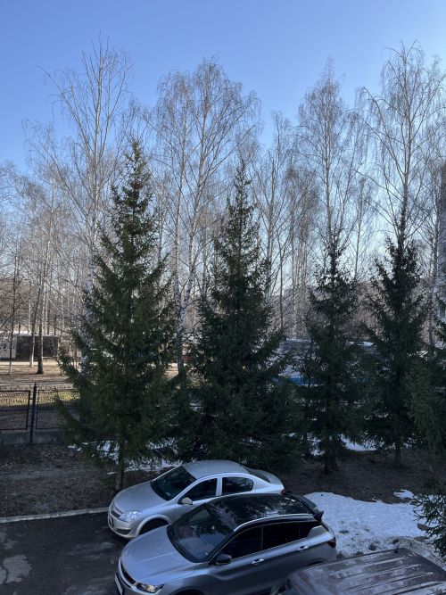 Синоптиклар һава торышын фаразлый
