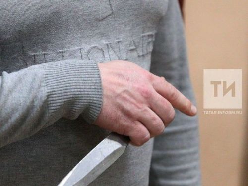 Минзәләдә 11 яшьлек кыз абыйсын үтергән
