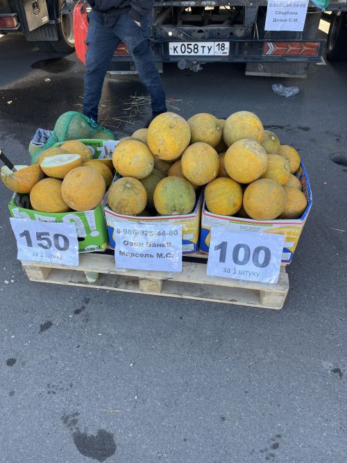 Чаллыда авыл хуҗалыгы ярминкәләре башланды