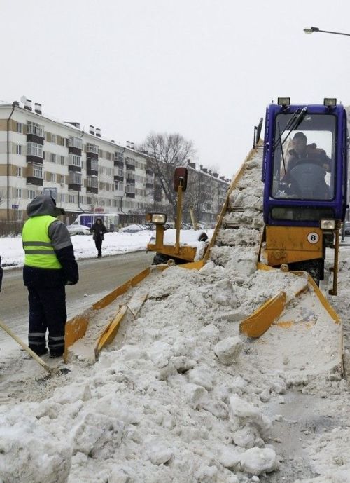 Чаллыда ишегалларын чистарту вакыты билгеле