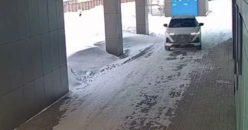 Автомобильдә баласын тудырды
