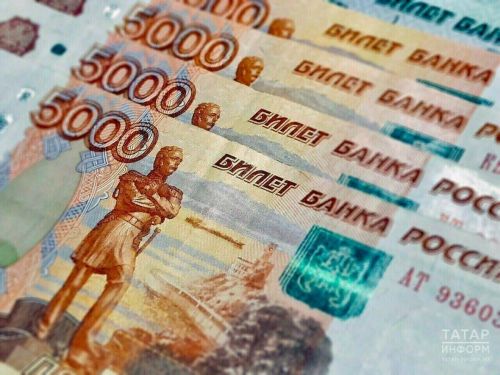 «Халык инспекторы»нда Татарстан халкы 5,6 млн сум акча эшләде: иң зур сумма Казан кешесендә – 275 мең